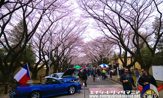 2019横田基地サクラスプリングフェスティバル