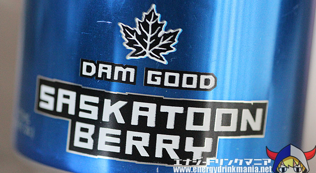 BEAVER BUZZ ENERGY SASKATOON BERRY