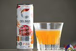 CELSIUS SPARKLING FANTASY VIBE