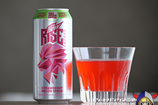 MTN DEW RISE ENERGY STRAWBERRY MELON SPARK