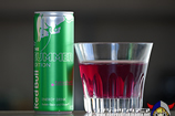 Red Bull SUMMER EDITION 2021 Cactus Fruit